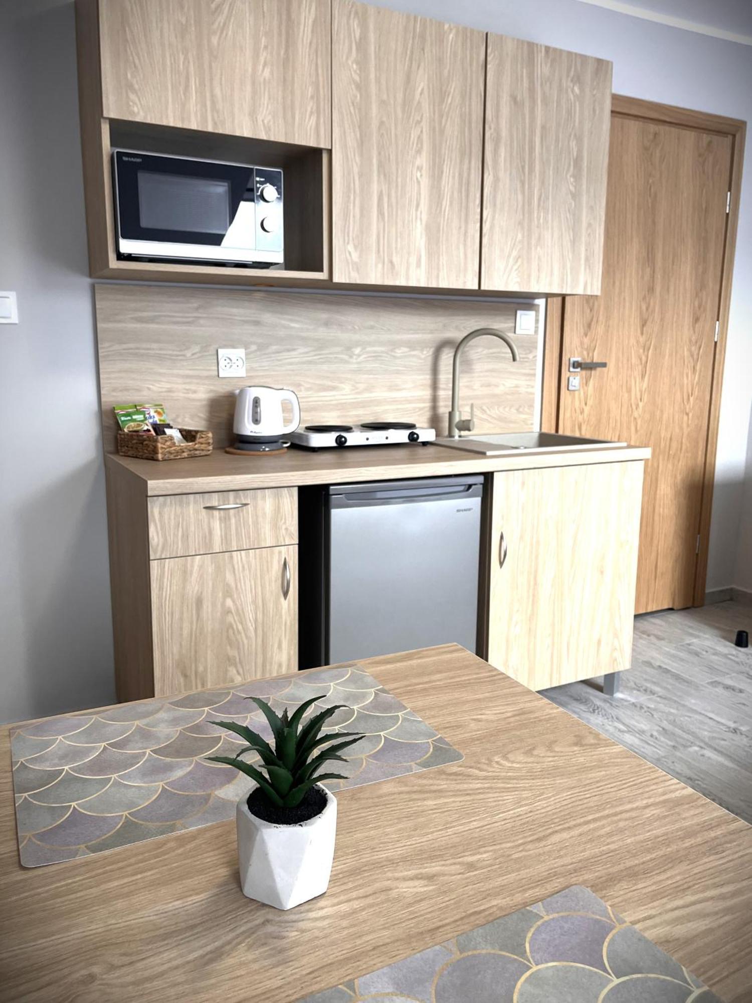 Apartamenty Wilczynskiego Opolznevoye Bagian luar foto